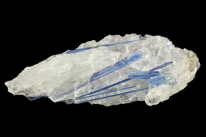 Vibrant Blue Kyanite Crystals In Quartz - Brazil #118862